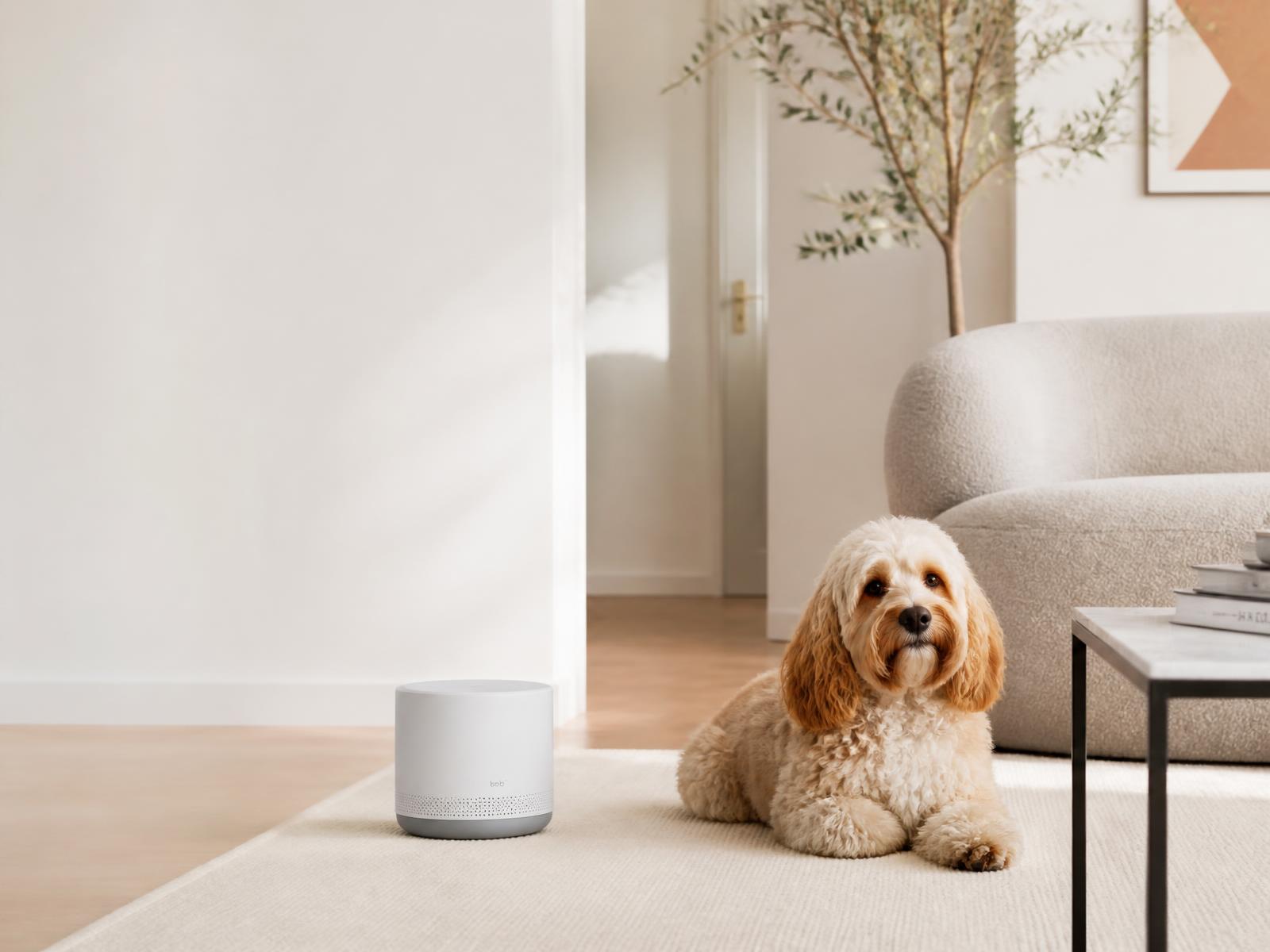 Salotto luminoso con un gadget smart e un cane sul tappeto
